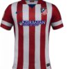 ATLETICO DE MADRID 2013/14