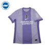 BRIGHTON & HOLVE ALBION 2025/26